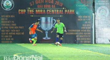 Tin tức
